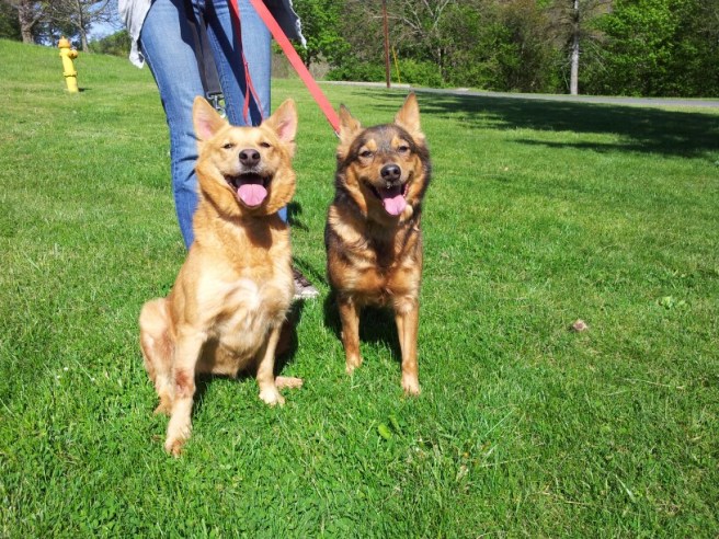 Georgie and Milkshake