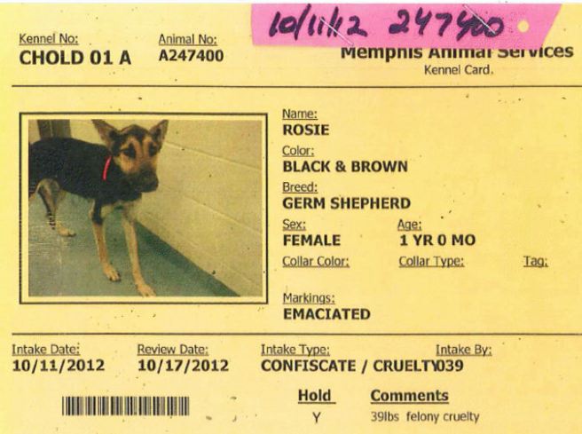 MAS rosie 247400 cage card