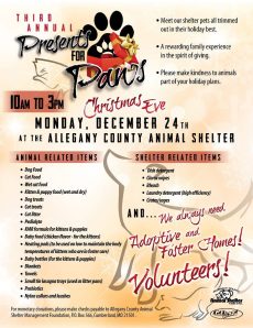 allegany shelter