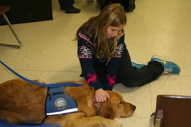 Comfort dog and child in Newtown, CT (via Facebook)