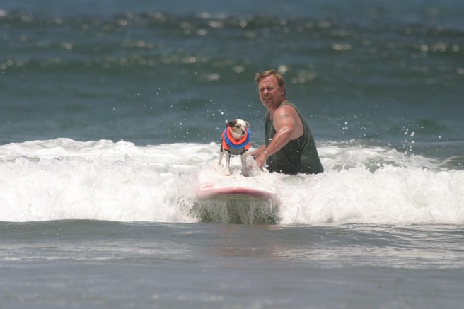 Submitted by Vania:  "A man helping his dog surf at the 3rd annual dog surfing competition in Imerial Beach, CA in 2008."