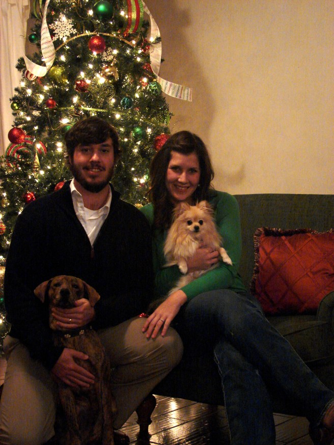 Submitted by Jamie: "One last photo for you - the "family" photo we used for our Christmas card this year.  The brindle boy is Gonzo - the one we found in the culvert two months ago.  He's about 6 months old.  The other is Lollie, our first child.  She's two.  Happy Holidays to you and your family, Shirley!  Thanks for all you do!"