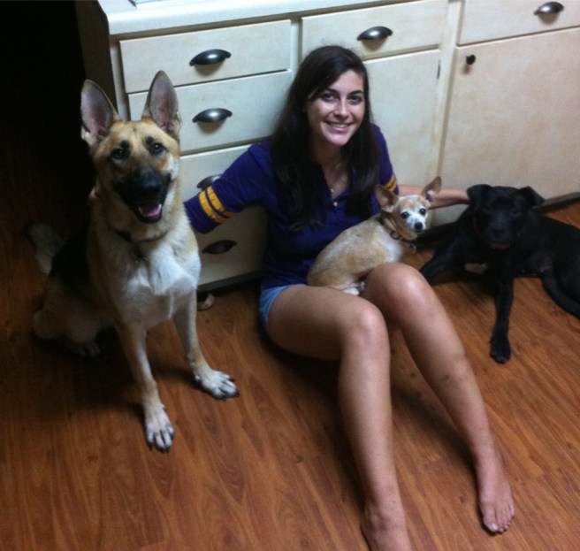 Submitted by Callie:  "Callie sitting with Heidi (German shepherd), Chica (chihuahua), and Tip (pit mix)." 