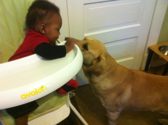 Submitted by Claire:  "My grandson, Julian, and my sorta-lab, Swoopes. Swoopes was rescued from MAS in August of 2002."