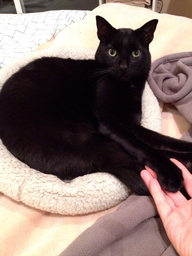 Submitted by Karen:  "And Smoochy will hold your hand . . ."