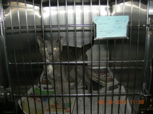 Photo by Christine Cotroneo