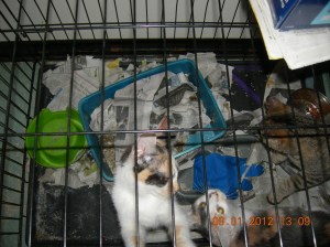 Photo by Christine Cotroneo