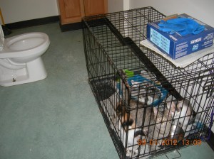 Photo by Christine Cotroneo