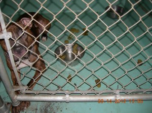 Photo by Christine Cotroneo