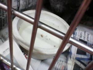 Photo by Christine Cotroneo