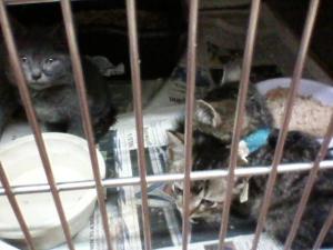 Photo by Christine Cotroneo