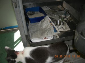 Photo by Christine Cotroneo