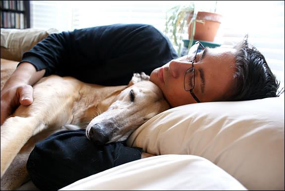 Submitted by Brandi:  "My husband Kelly and my retired American racing dog Sophie sleeping in bed." 
