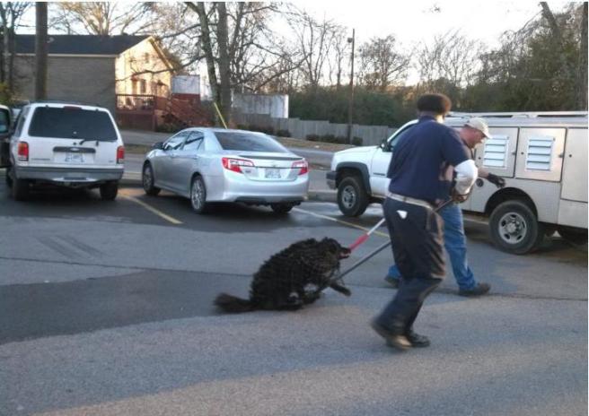 Screencap from Facebook.