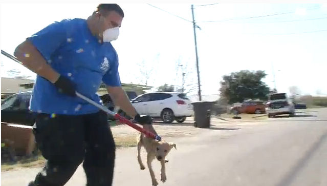 Screengrab from YouTube.