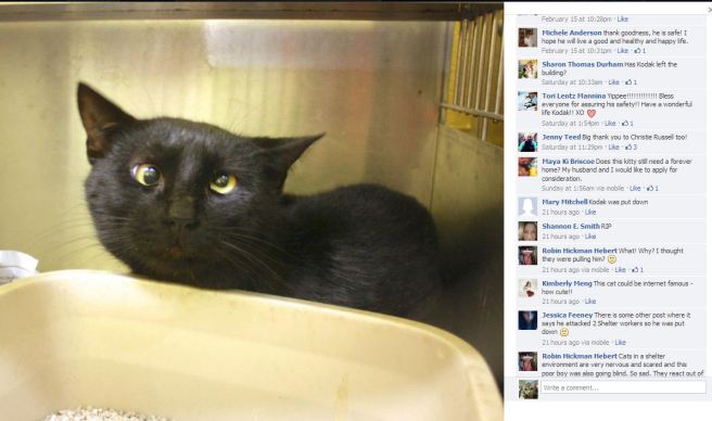 Screengrab from Facebook taken today, showing CAA's comment deleted.  (click to enlarge)