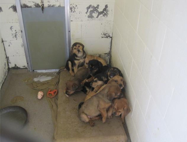 Screencap from Facebook