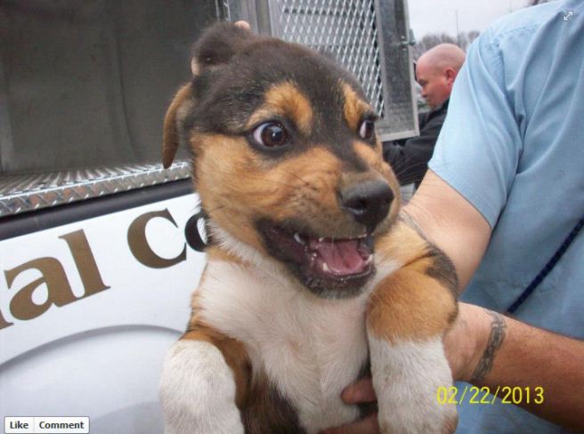 Screengrab from a Facebook posting by the Richmond Co HS.