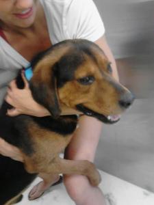 Cobalt (Photo submitted by Ms. Faulkner)