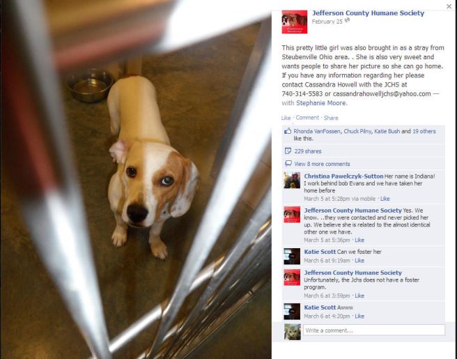 Screengrab from the Facebook page of the Jefferson Co Humane Society.
