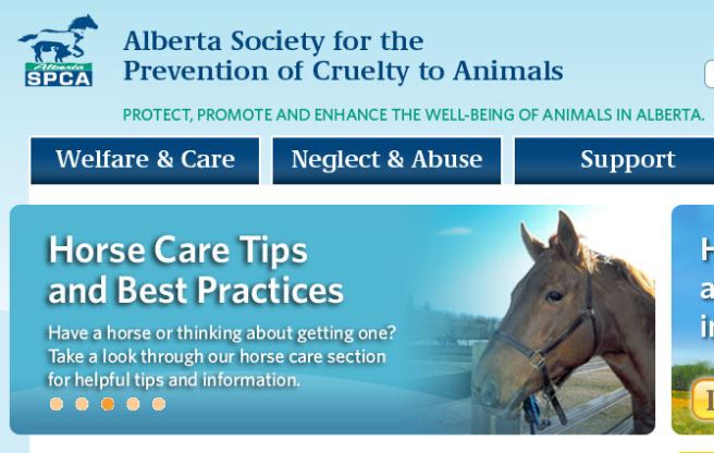 Screengrab from the website of the Alberta Society for the Prevention of Cruelty to Animals.