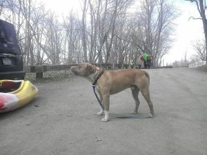 Kayak (photo submitted by Elizabeth)