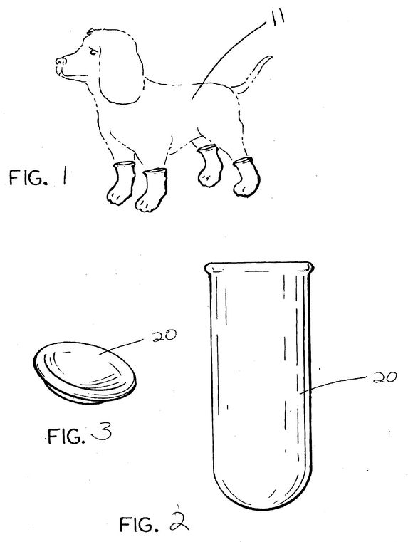 Condoms.  For your dog's feet.