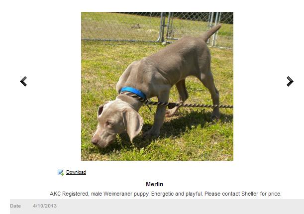 screengrab second chance weim