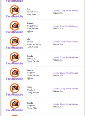 Screengrab from Petfinder.com showing a portion of the 48 dog and cat listings from the Lowndes pound in Georgia.
