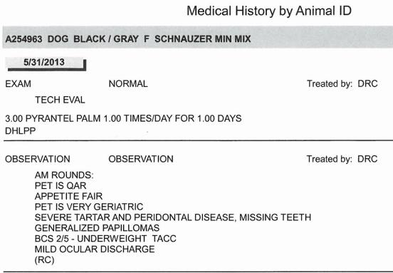 Obtained via FOIA request, these are the complete medical records for dog ID #254963 at the Memphis pound.
