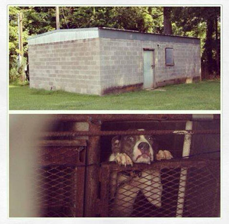 Image posted on Facebook.