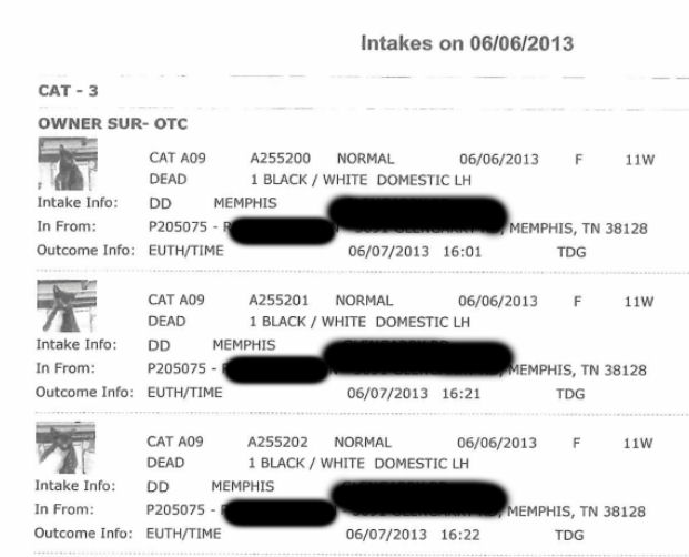 mas intakes june 6 2013 1