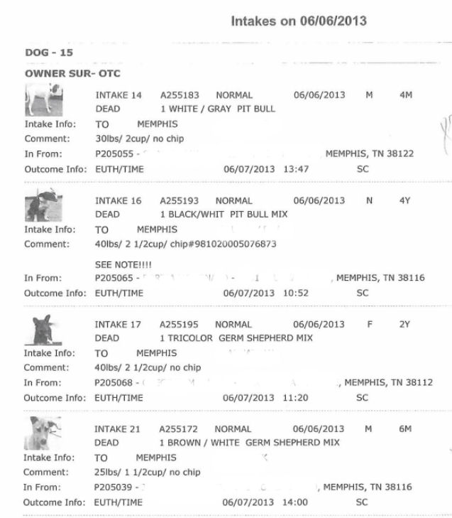 mas intakes june 6 2013 2