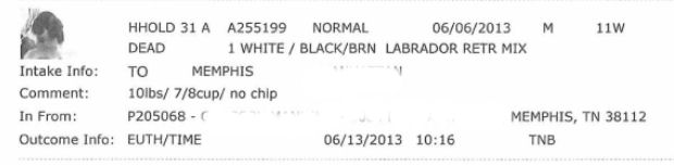 mas intakes june 6 2013 dog2