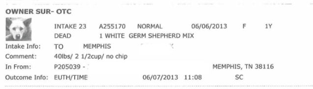 mas intakes june 6 2013 one dog