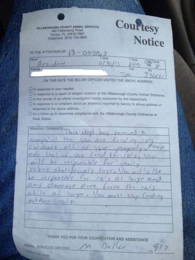 1st notice hillsborough co