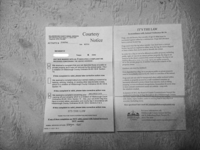 3rd notice hillsborough co