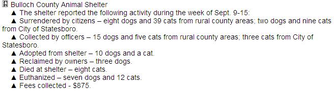 Screengrab from the Statesboro Herald - September 22, 2013