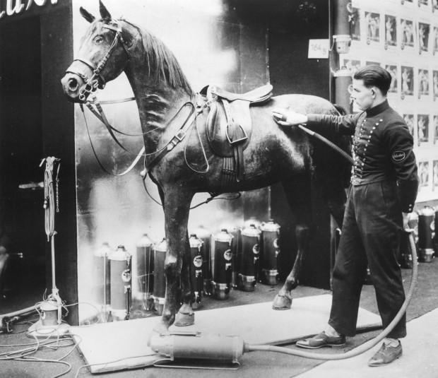 If I vacuum my horse, do I still have to vacuum my house? [Via]