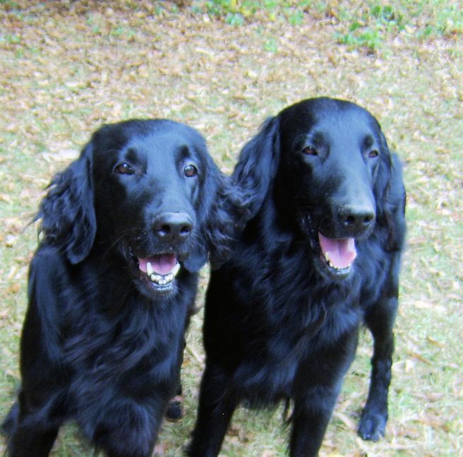 Patty and Linus, age 7