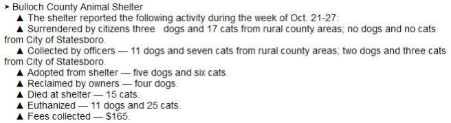 Screengrab from the Statesboro Herald, November 3, 2013