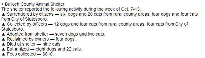 Screengrab from Statesboro Herald, October 20, 2013