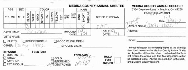 mcas county home cat