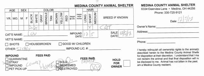 mcas county home cat2