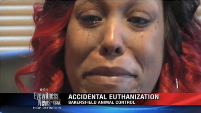 Screengrab from a KBAK newscast depicting Captcho's owner discussing his killing at the Bakersfield pound.