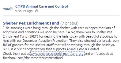 snacks for pet killers