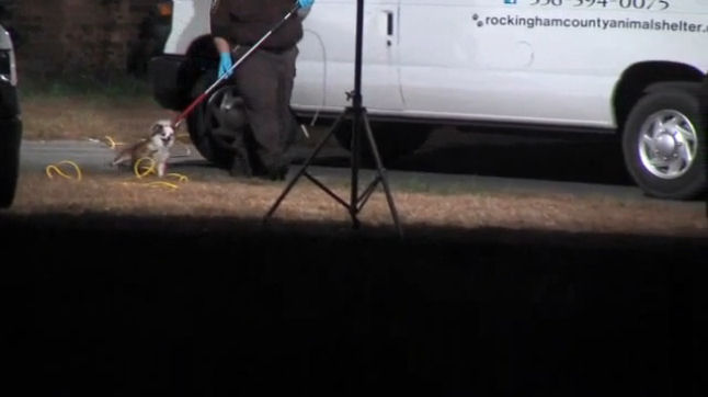 In this screengrab from WGHP, a toy breed dog is dragged by a metal noose on the end of a steel pole by an ACO.