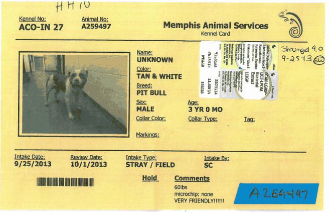 259497 MAS cage card