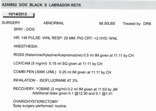 Portion of records from Memphis Animal Services for puppy #259882