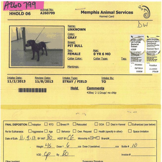 Portion of beauty's records at MAS, obtained via FOIA request.